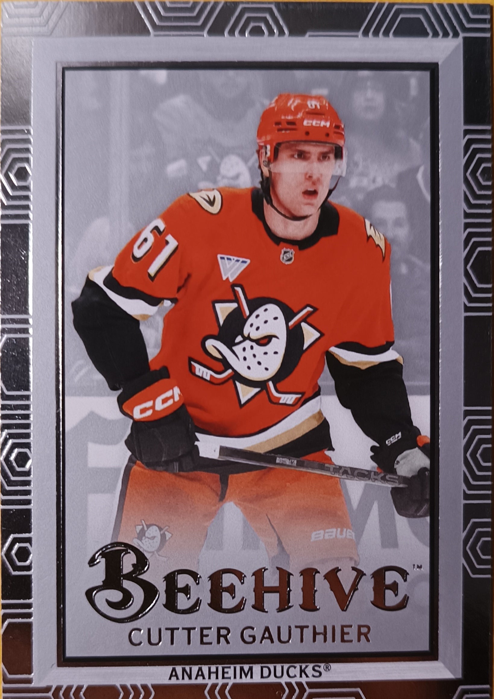 Insertní karta Cutter Gauthier 24-25 Extended Series Beehive Upper Deck